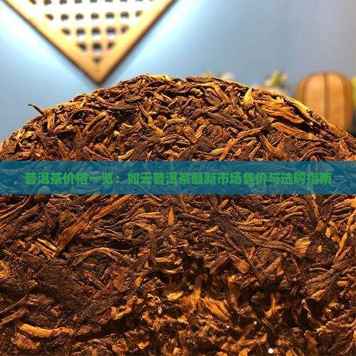 普洱茶价格一览：如云普洱茶最新市场售价与选购指南