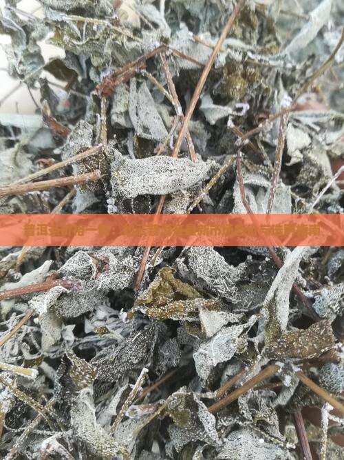 普洱茶价格一览：如云普洱茶最新市场售价与选购指南