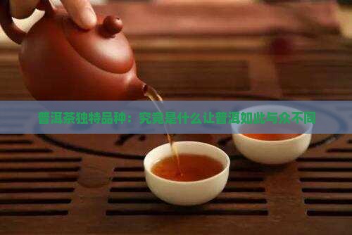 普洱茶独特品种：究竟是什么让普洱如此与众不同