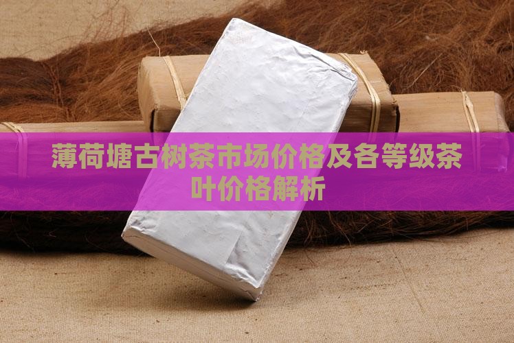 薄荷塘古树茶市场价格及各等级茶叶价格解析