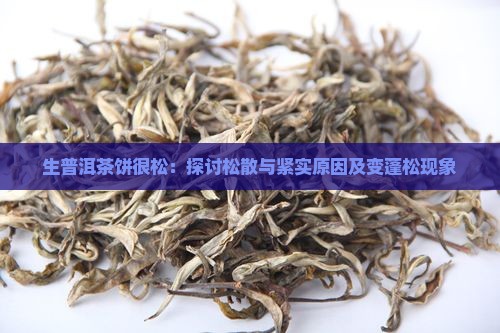 生普洱茶饼很松：探讨松散与紧实原因及变蓬松现象
