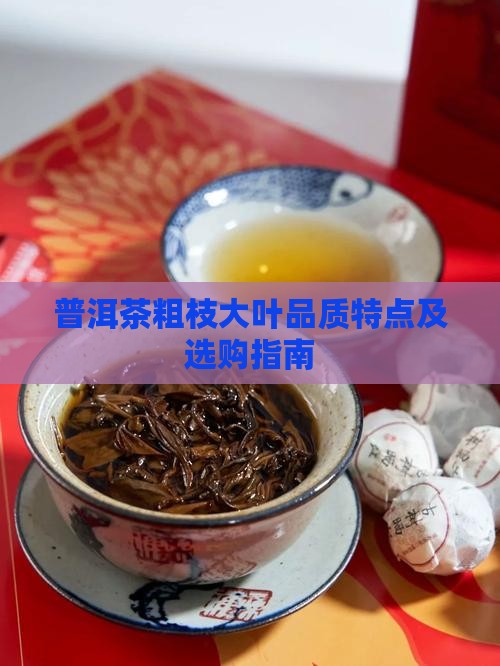 普洱茶粗枝大叶品质特点及选购指南