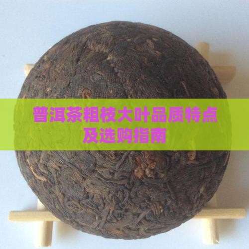 普洱茶粗枝大叶品质特点及选购指南