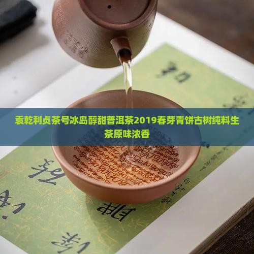 袁乾利贞茶号冰岛醇甜普洱茶2019春芽青饼古树纯料生茶原味浓香