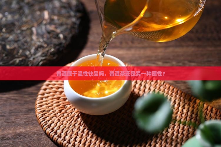 普洱属于温性饮品吗，普洱茶还是另一种属性？