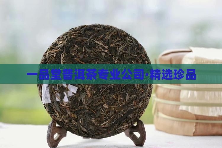 一品堂普洱茶专业公司·精选珍品