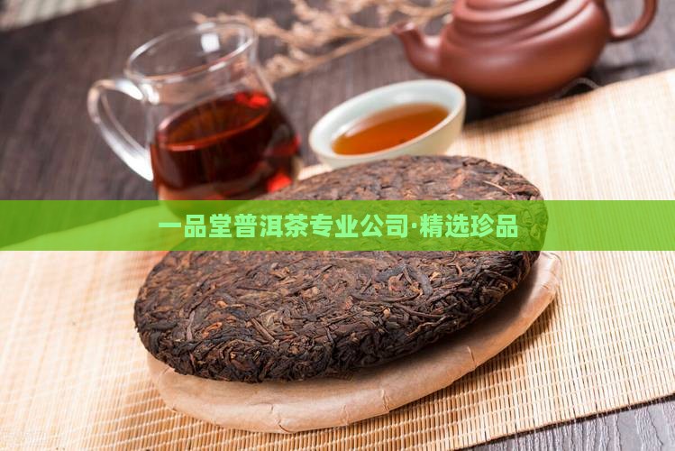 一品堂普洱茶专业公司·精选珍品