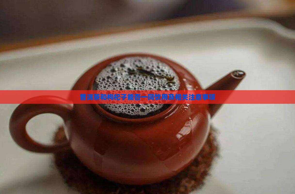 普洱茶和枸杞子能否一同饮用及相关注意事项