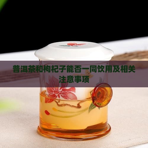 普洱茶和枸杞子能否一同饮用及相关注意事项