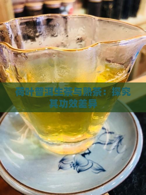 荷叶普洱生茶与熟茶：探究其功效差异