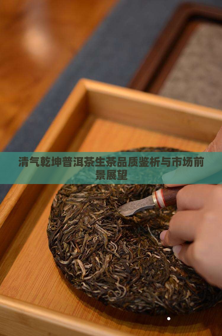清气乾坤普洱茶生茶品质鉴析与市场前景展望