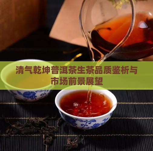 清气乾坤普洱茶生茶品质鉴析与市场前景展望