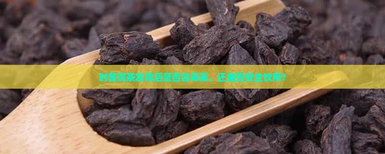 时普洱茶发霉后是否含毒素，还能否安全饮用？