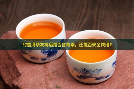 时普洱茶发霉后是否含毒素，还能否安全饮用？