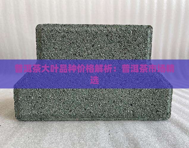 普洱茶大叶品种价格解析：普洱茶市场精选