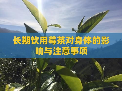 长期饮用莓茶对身体的影响与注意事项