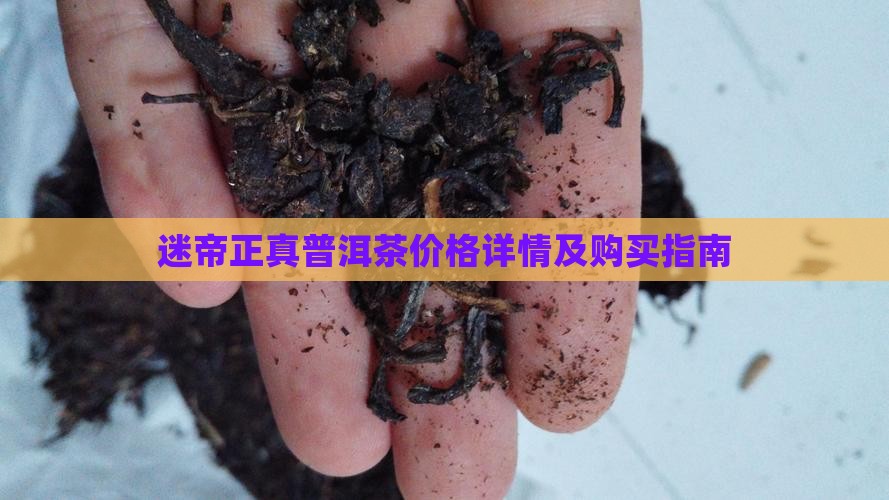 迷帝正真普洱茶价格详情及购买指南