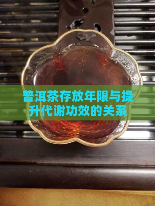 普洱茶存放年限与提升代谢功效的关系