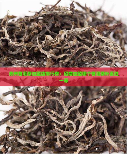 苏州普洱茶加盟店排行榜：招商加盟哪个普洱茶叶更胜一筹