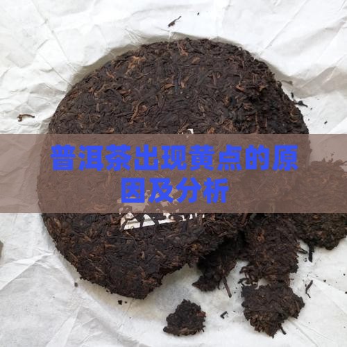 普洱茶出现黄点的原因及分析