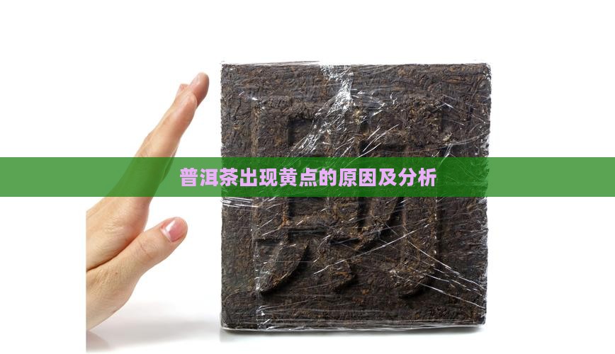 普洱茶出现黄点的原因及分析