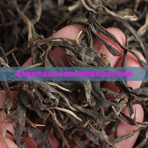 普洱茶饮用后出现头晕症状的原因及应对方法解析
