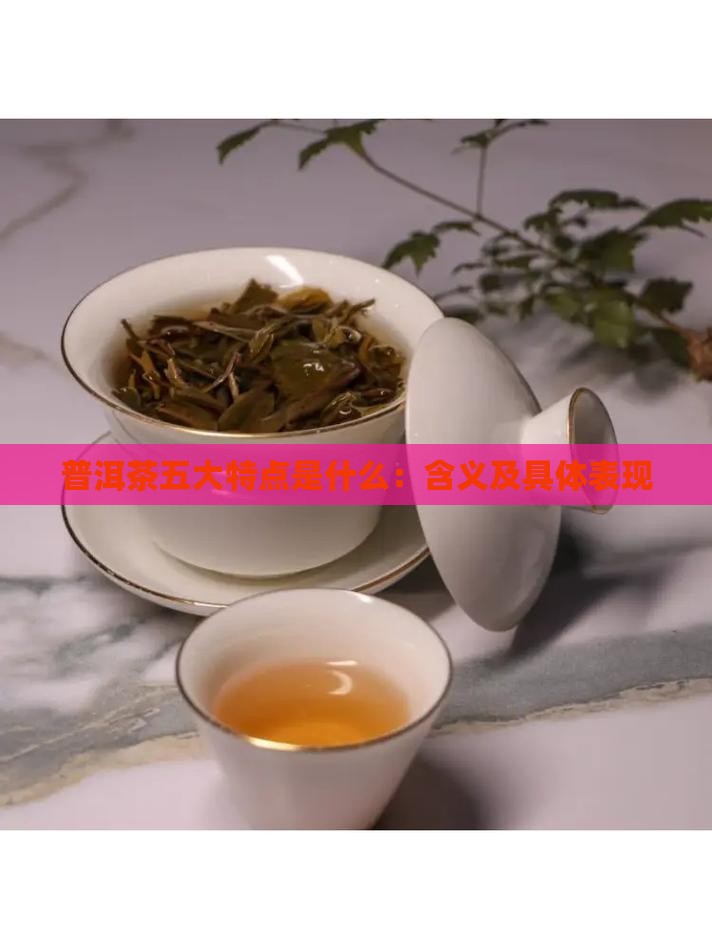 普洱茶五大特点是什么：含义及具体表现