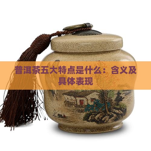 普洱茶五大特点是什么：含义及具体表现