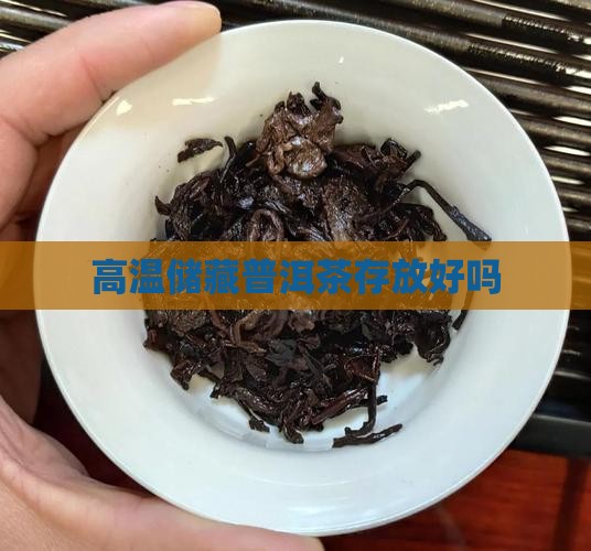 高温储藏普洱茶存放好吗