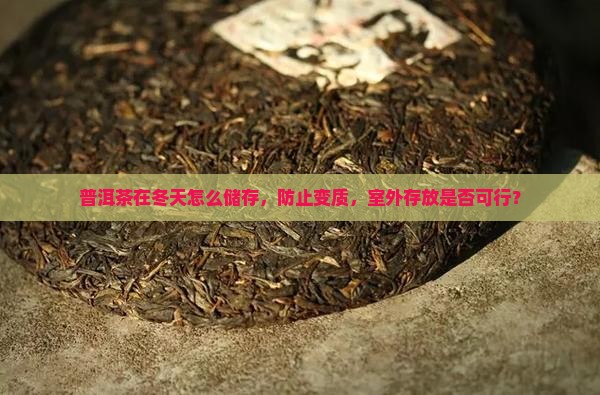 普洱茶在冬天怎么储存，防止变质，室外存放是否可行？