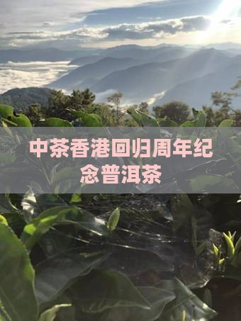 中茶香港回归周年纪念普洱茶
