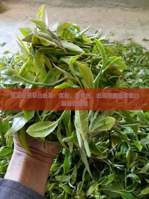 普洱茶熟茶白色灰：区别、灰黄色、出现原因及表面白霜是否能喝