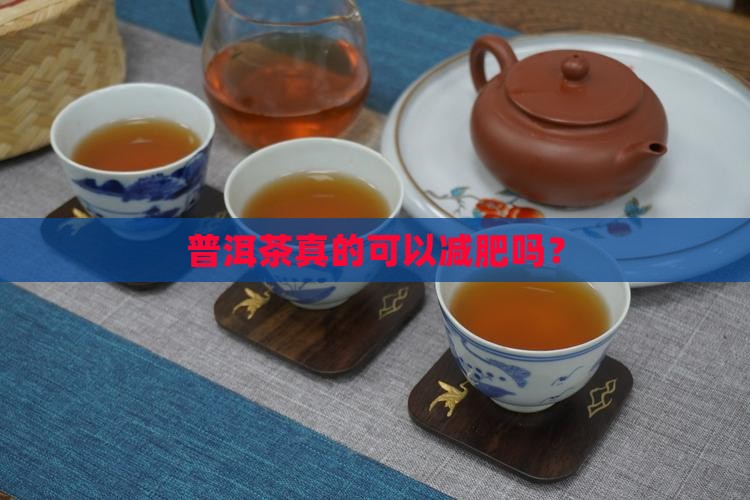 普洱茶真的可以减肥吗？