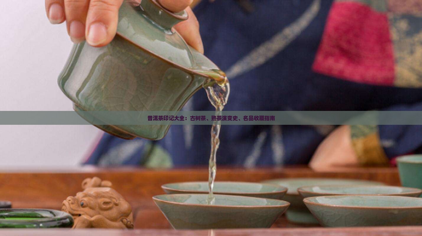 普洱茶印记大全：古树茶、熟茶演变史、名品收藏指南