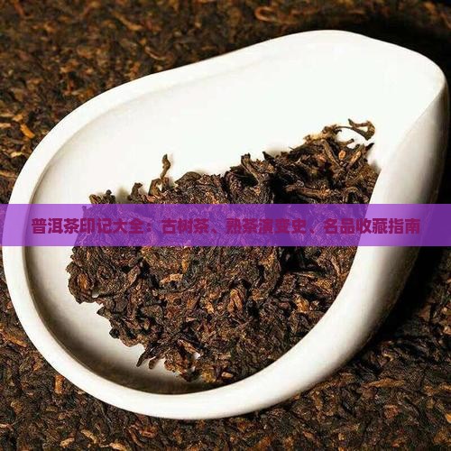 普洱茶印记大全：古树茶、熟茶演变史、名品收藏指南