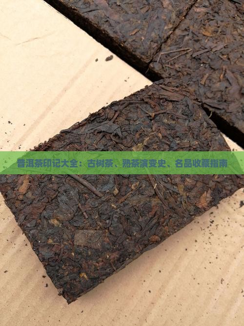 普洱茶印记大全：古树茶、熟茶演变史、名品收藏指南