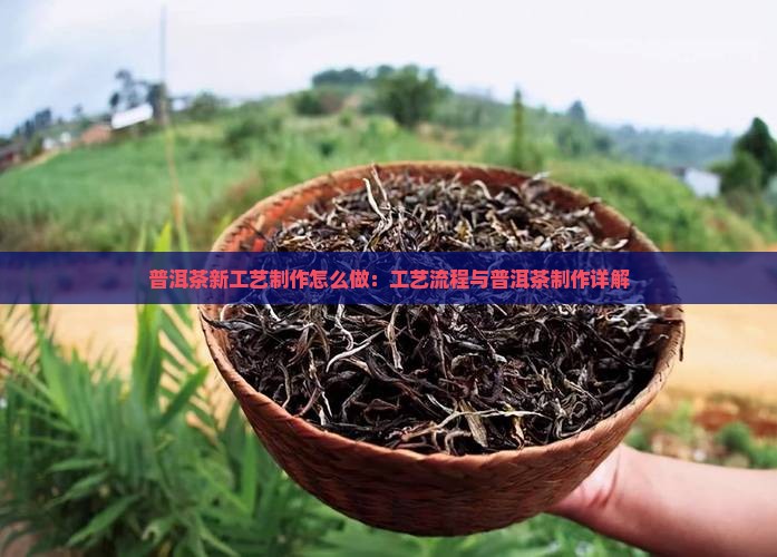 普洱茶新工艺制作怎么做：工艺流程与普洱茶制作详解