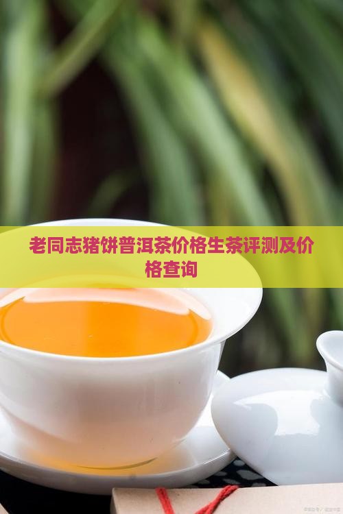 老同志猪饼普洱茶价格生茶评测及价格查询