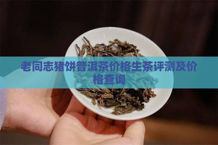 老同志猪饼普洱茶价格生茶评测及价格查询