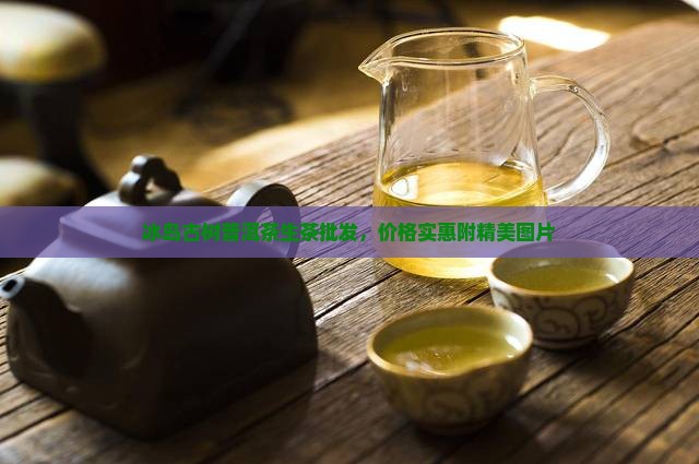 冰岛古树普洱茶生茶批发，价格实惠附精美图片