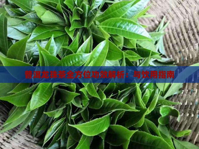 普洱龙珠茶全方位功效解析：与饮用指南