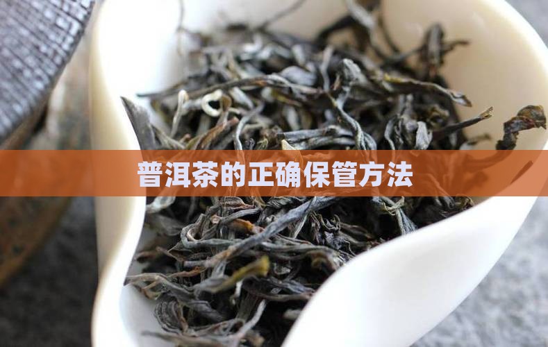 普洱茶的正确保管方法