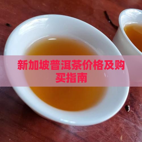 新加坡普洱茶价格及购买指南