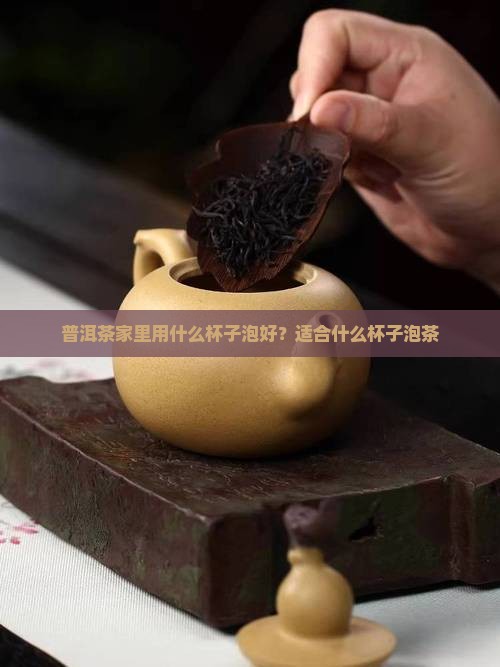 普洱茶家里用什么杯子泡好？适合什么杯子泡茶