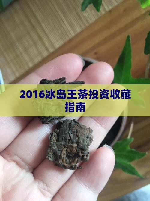 2016冰岛王茶投资收藏指南
