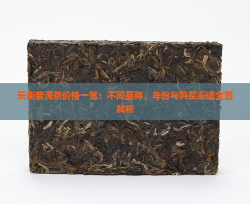云南普洱茶价格一览：不同品种、年份与购买渠道全面解析