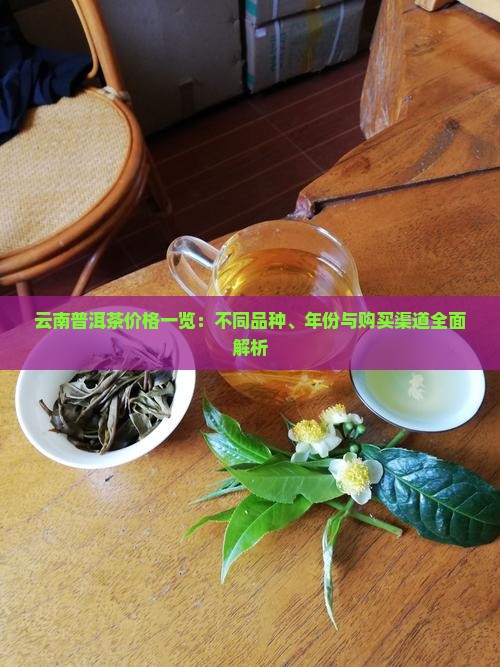 云南普洱茶价格一览：不同品种、年份与购买渠道全面解析
