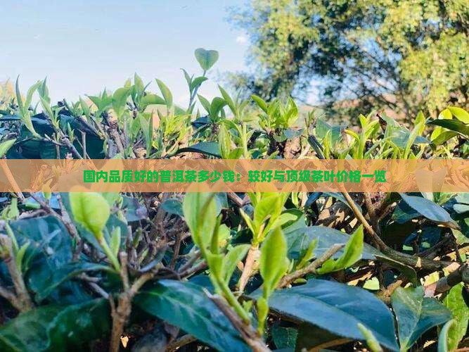 国内品质好的普洱茶多少钱：较好与顶级茶叶价格一览