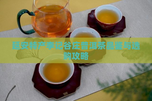 延安特产李记谷庄普洱茶品鉴与选购攻略