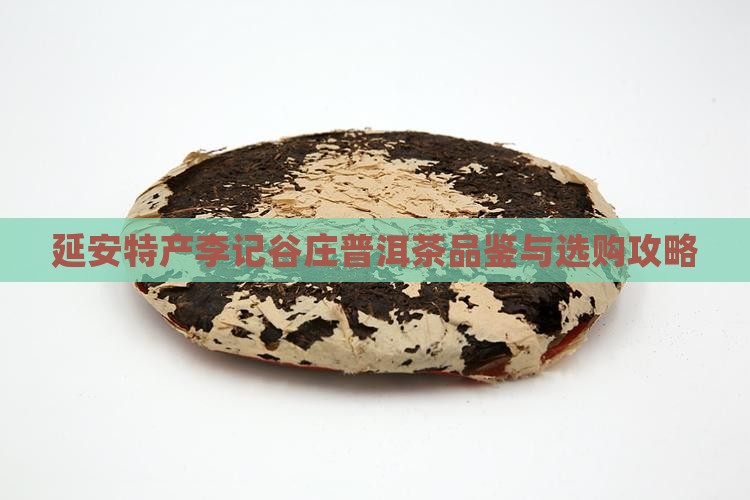 延安特产李记谷庄普洱茶品鉴与选购攻略